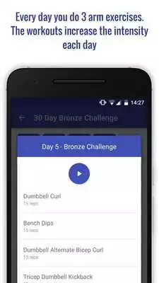 Play 30 Day Arm Workout Challenge