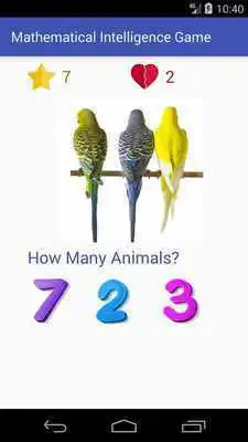 Play 3 - 12 Age mental educational math childrens play