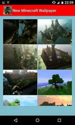 Play 316 NEWS