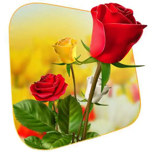 Run free android online 360 Flower live wallpaper 3D APK Run free android online 360 Flower live wallpaper 3D APK