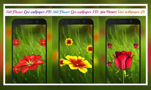 Play 360 Flower live wallpaper 3D