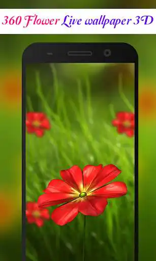Play 360 Flower live wallpaper 3D