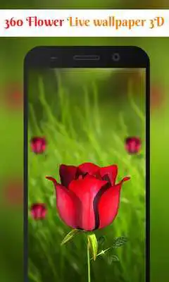 Play 360 Flower live wallpaper 3D