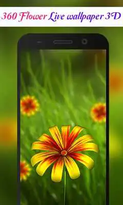 Play 360 Flower live wallpaper 3D