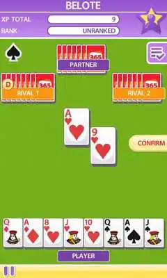 Play 365 Cards Deluxe