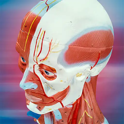 Play 3B Smart Anatomy APK Play 3B Smart Anatomy APK