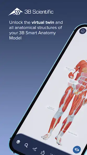 Play 3B Smart Anatomy  and enjoy 3B Smart Anatomy with UptoPlay