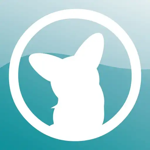 Play 3CTim哥 x OLi嚴選 APK