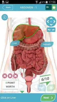 Play 3D Anatomy Quiz