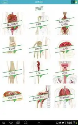 Play 3D Anatomy Quiz