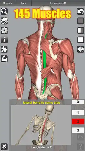 Play 3D Anatomy as an online game 3D Anatomy with UptoPlay
