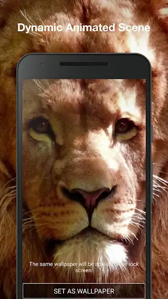 Play 3d Animals Live Wallpaper Pro as an online game online 3d Animals Live Wallpaper Pro with UptoPlay Play 3d Animals Live Wallpaper Pro as an online game 3d Animals Live Wallpaper Pro with UptoPlay