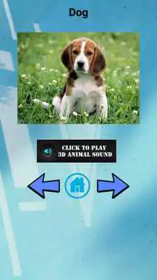 Play 3D Animal Sounds