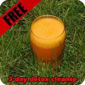 Free play online 3 day detox cleanse APK