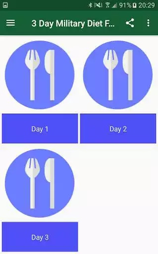 Play 3 Day Military Diet Food Plan as an online game 3 Day Military Diet Food Plan with UptoPlay