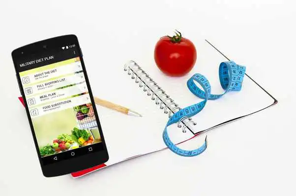 Play 3 Days Military Diet Weight Loss Plan Play 3 Days Military Diet Weight Loss Plan