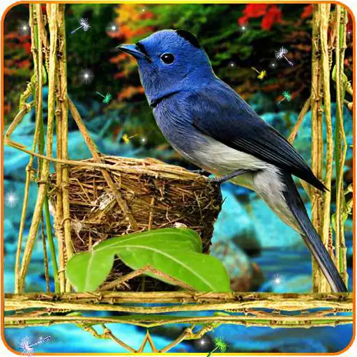 Free play online 3D Birds Live Wallpaper for S5  APK