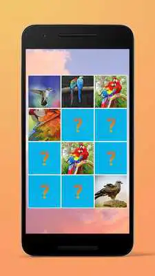 Play 3D Birds Theme Memory Game Play 3D Birds Theme Memory Game