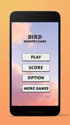 Play 3D Birds Theme Memory Game Play 3D Birds Theme Memory Game