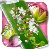 Free play online 3D Blossoms Live Wallpaper APK Free play online 3D Blossoms Live Wallpaper APK