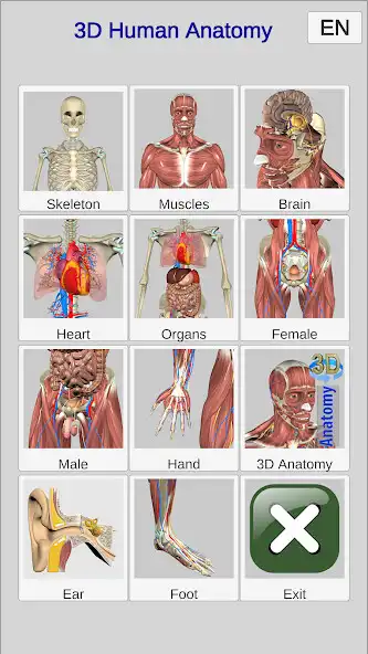 Play 3D Bones and Organs (Anatomy) and enjoy 3D Bones and Organs (Anatomy) with UptoPlay Play 3D Bones and Organs (Anatomy) and enjoy 3D Bones and Organs (Anatomy) with UptoPlay