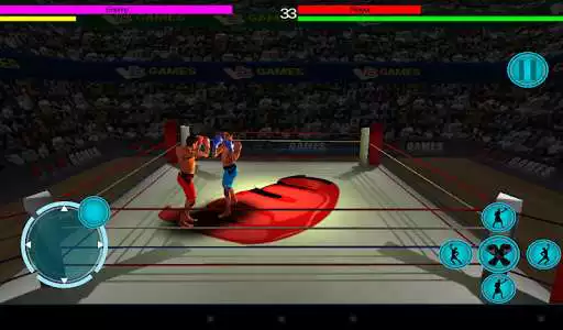 Play 3D boxing game