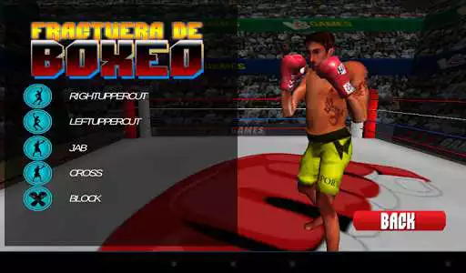 Play 3D boxing game