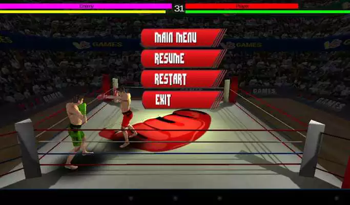 Play 3D boxing game
