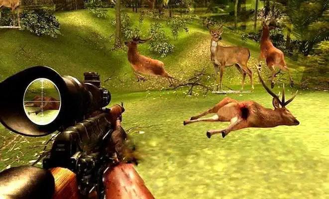 Play 3D Deer Hunter. Addictive Sniper Shooting games (Unreleased)