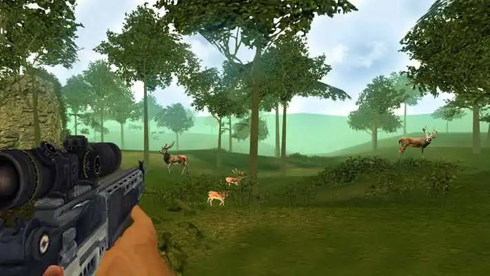 Play 3D Deer Hunter. Addictive Sniper Shooting games (Unreleased)
