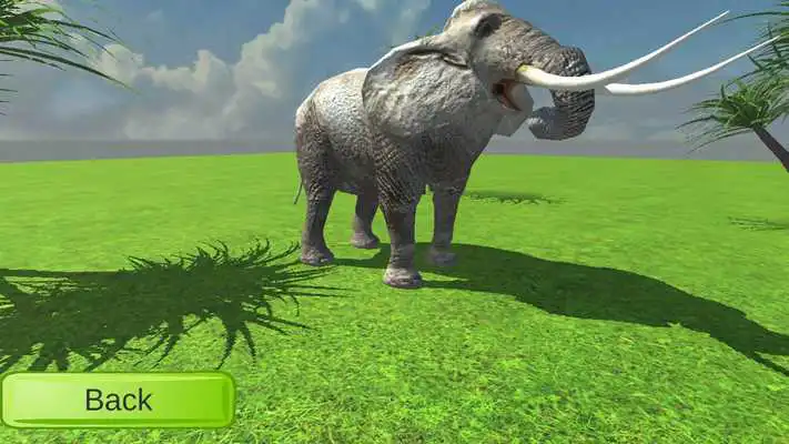 Play 3D Drawing Animals