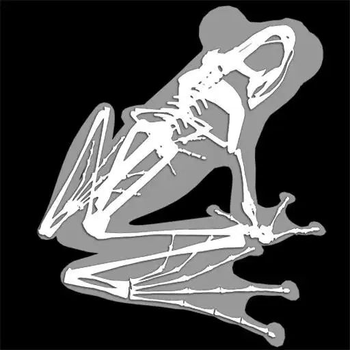Play 3D Frog Skeleton APK Play 3D Frog Skeleton APK