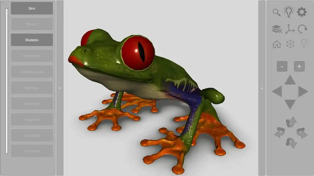 Play 3D Frog Skeleton  and enjoy 3D Frog Skeleton with UptoPlay