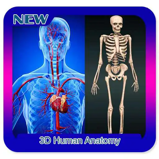 Play 3D Human Anatomy APK