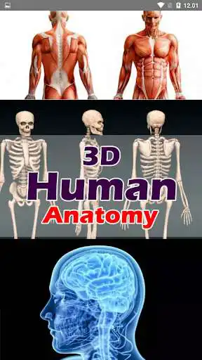 Play 3D Human Anatomy  and enjoy 3D Human Anatomy with UptoPlay
