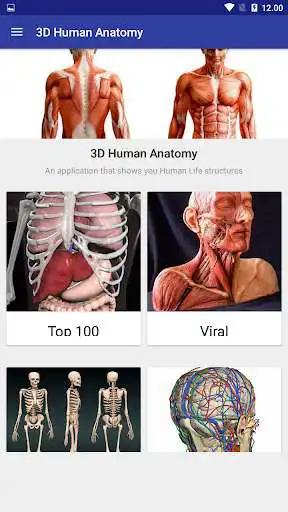 Play 3D Human Anatomy as an online game 3D Human Anatomy with UptoPlay