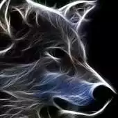 Free play online 3D Ice Wolf Themes Wallaper APK Free play online 3D Ice Wolf Themes Wallaper APK