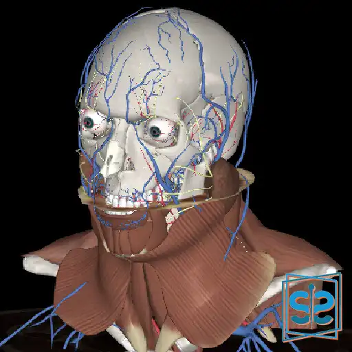 Play 3Dissect Head Neck APK Play 3Dissect Head Neck APK