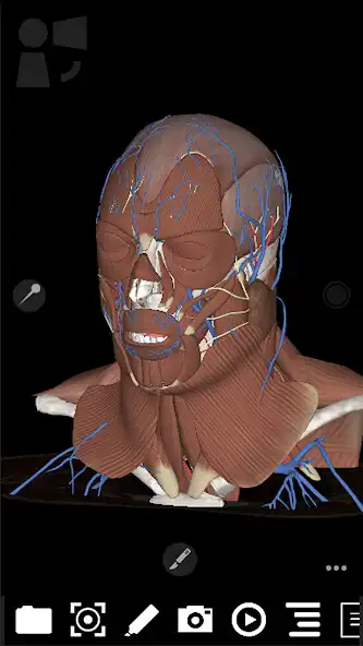 Play 3Dissect Head  Neck  and enjoy 3Dissect Head  Neck with UptoPlay