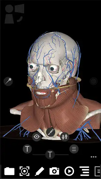 Play 3Dissect Head  Neck as an online game 3Dissect Head  Neck with UptoPlay
