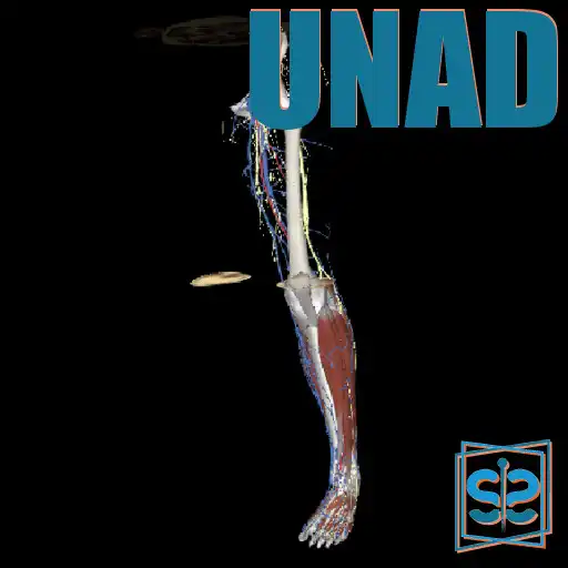 Play 3Dissect Lower Limb UNAD APK Play 3Dissect Lower Limb UNAD APK