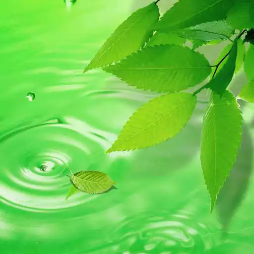 Free play online 3D Leaves Live Wallpaper APK