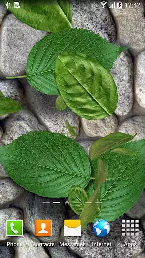 Play 3D Leaves Live Wallpaper
