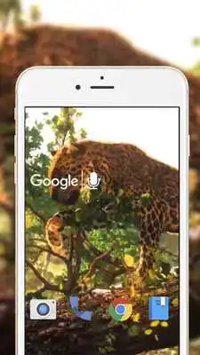Play 3D Leopard Live Wallpaper Play 3D Leopard Live Wallpaper