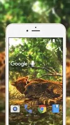 Play 3D Leopard Live Wallpaper Play 3D Leopard Live Wallpaper