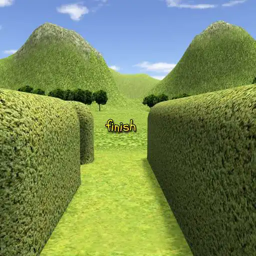 Free play online 3D Maze / Labyrinth  APK