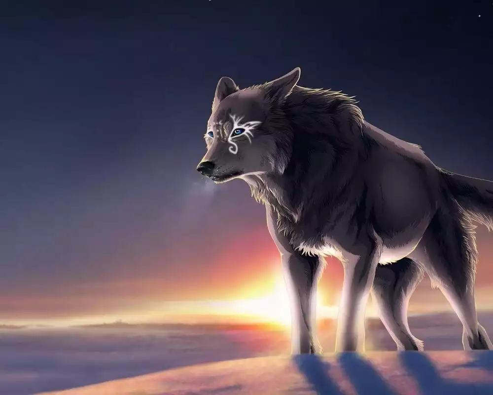 Play 3D Neon Vivid Wolf Theme Wallpapers