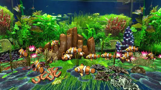 Play 3D Ocean Fish Live Wallpaper Pro  and enjoy 3D Ocean Fish Live Wallpaper Pro with UptoPlay