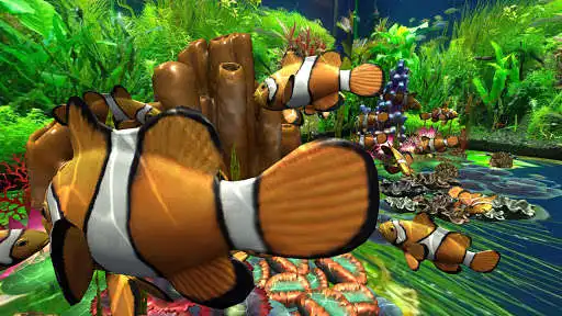 Play 3D Ocean Fish Live Wallpaper Pro as an online game 3D Ocean Fish Live Wallpaper Pro with UptoPlay