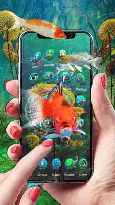 Play 3d parallax Koi fish theme